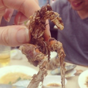 Squilla, a prawn/scrimp thing!