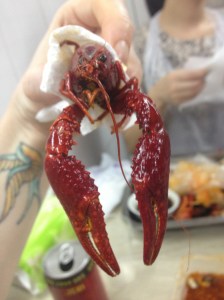 Such a cute little face!