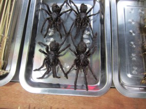 Shudder at the fleshy abdomen