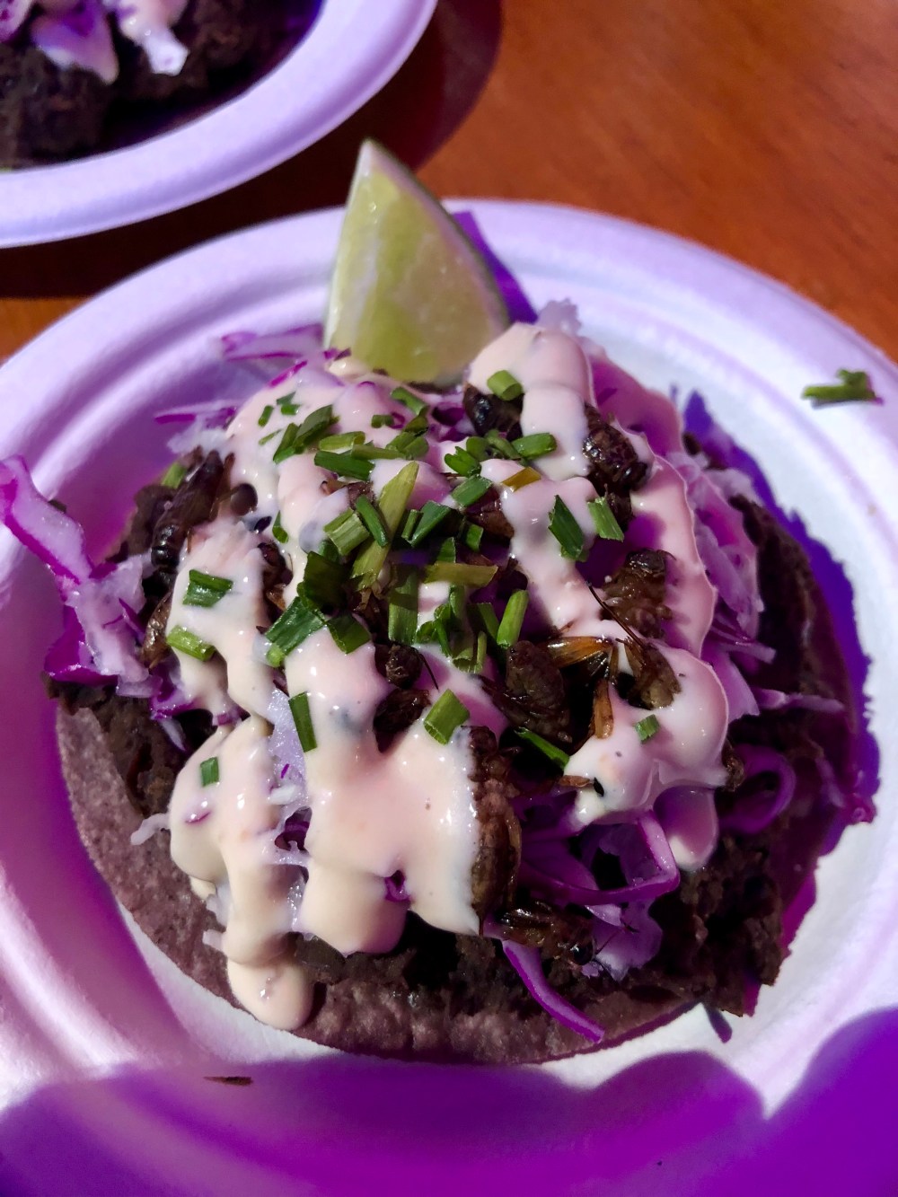 Cricket Taco at Dark Mofo