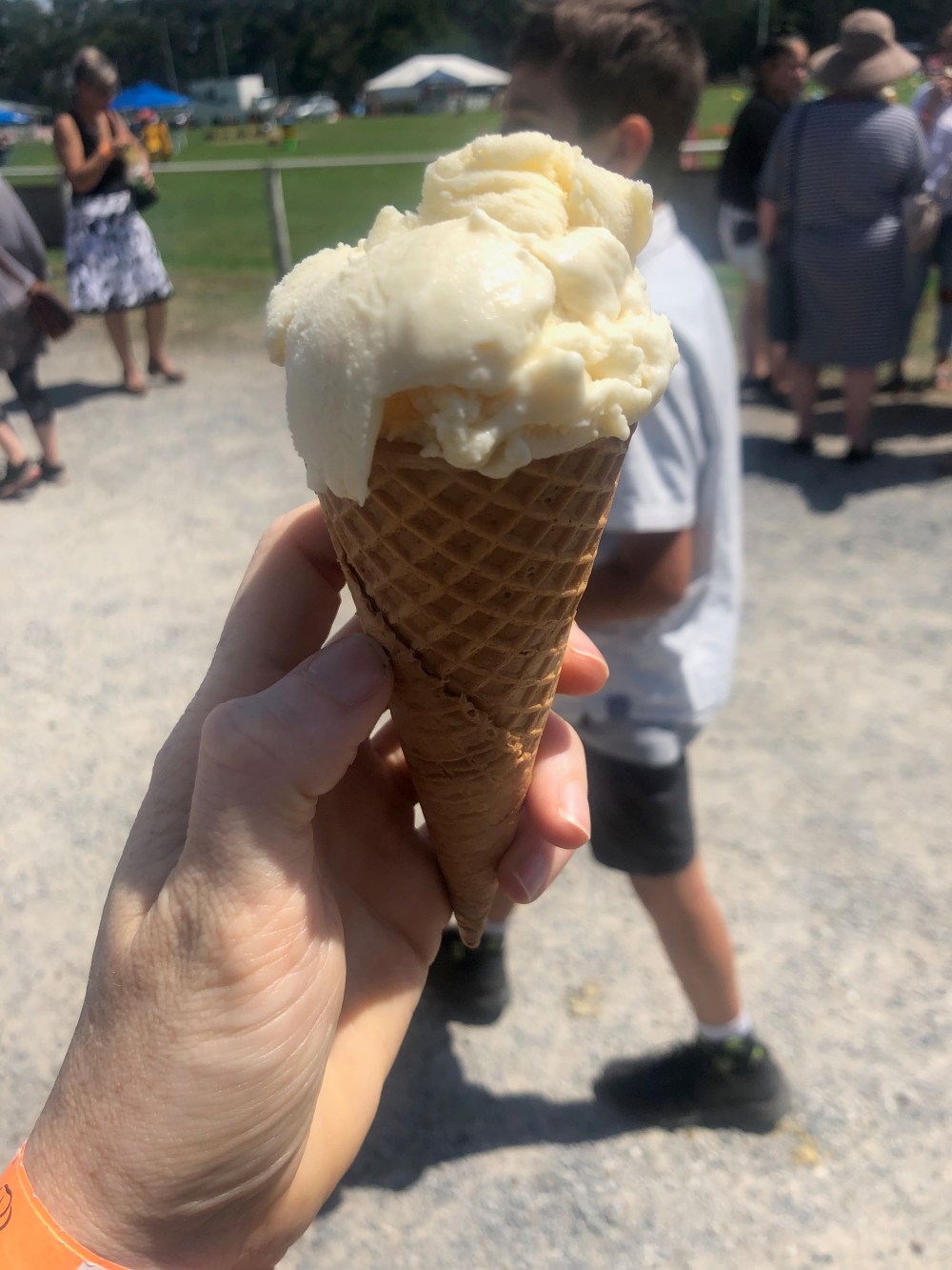 Garlic Ice Crean Meeniyan Garlic Festival