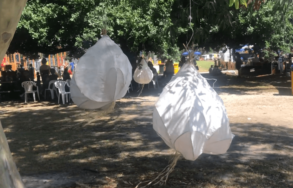 Garlic Festival Meeniyan