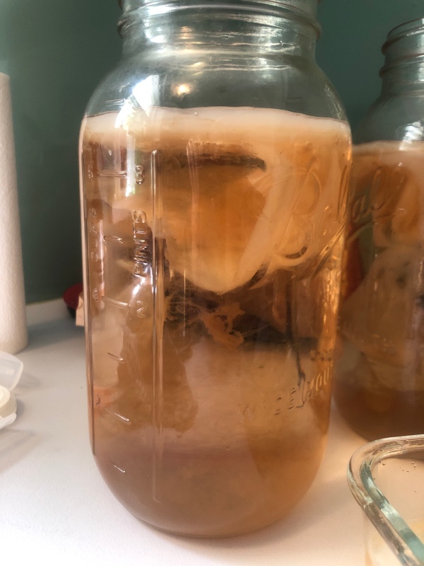 Kombucha in a jar with a SCOBY